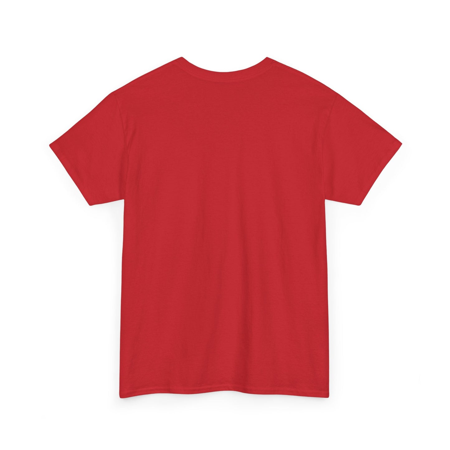 “Soaring in Grace” - Unisex Heavy Cotton Tee